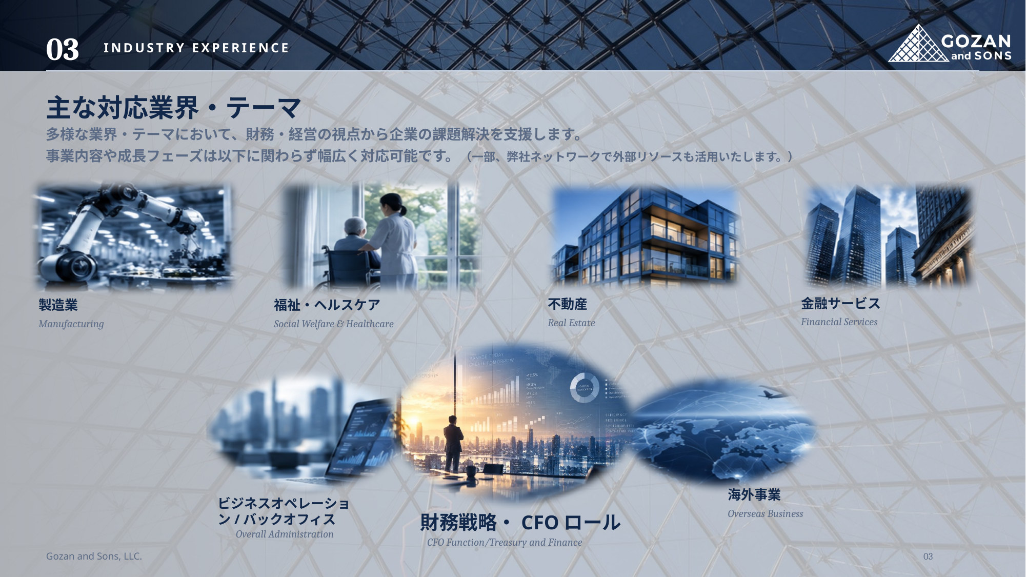 Industry Experience